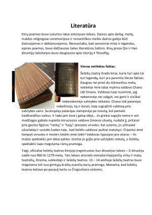 Šokiai. Paveikslėlis 5