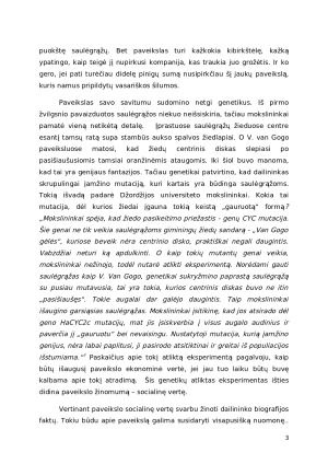 Vincent van Gogh „Vaza su penkiolika saulėgrąžų“. Paveikslėlis 3