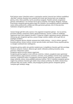 Grietinės cecho sąnaudų ir ekonominių rodiklių apskaičiavimas. Paveikslėlis 4