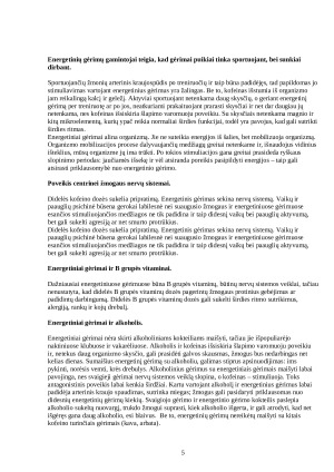 Grietinės cecho sąnaudų ir ekonominių rodiklių apskaičiavimas. Paveikslėlis 5
