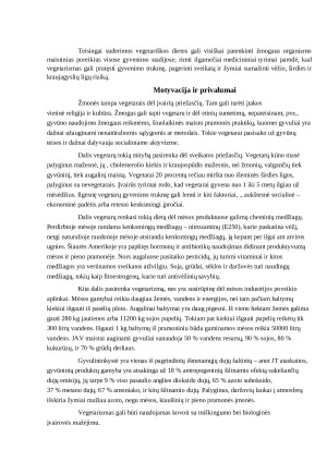 Vegetariškas valgiaraštis. Paveikslėlis 2