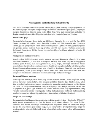 Nesibaigiantis konfliktas tarp turkų ir kurdų. Paveikslėlis 1