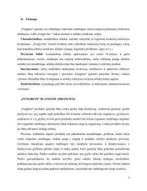 Inžinerinės ekonomikos projektas. Paveikslėlis 2