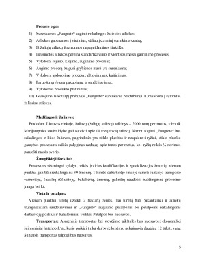 Inžinerinės ekonomikos projektas. Paveikslėlis 5