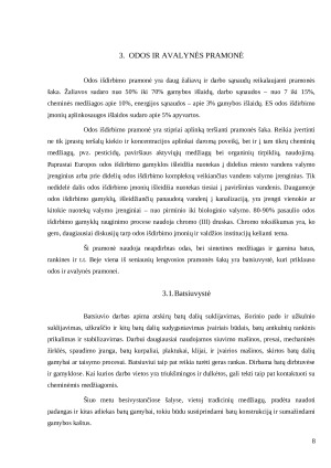 Lengvoji pramonė. Paveikslėlis 8