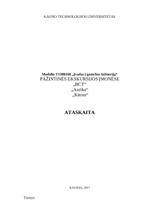 „BCT“, „Aurika“, „Kitron“ įmonių analizė. Paveikslėlis 1