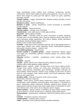 Dekoratyvinė kosmetika. Paveikslėlis 5
