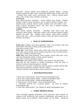 Dekoratyvinė kosmetika. Paveikslėlis 8