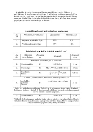 Apykaklių konstrukcijų sudarymas (2). Paveikslėlis 3