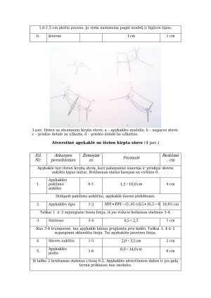 Apykaklių konstrukcijų sudarymas (2). Paveikslėlis 5