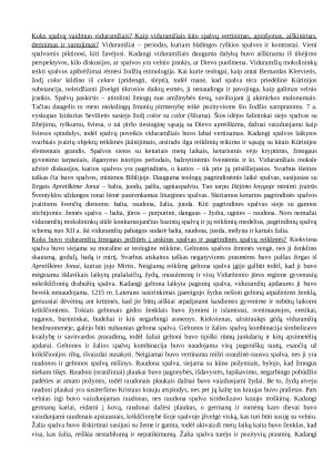 Koks spalvų vaidmuo viduramžiais Kaip viduramžiais kito spalvų vertinimas, aprašymas, aiškinimas, derinimas ir vartojimas. Paveikslėlis 1