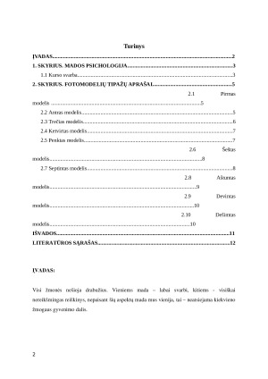 Mados psichologija fotomodelių tipažų aprašai ir kurso svarba. Paveikslėlis 2
