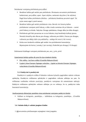 LNK laidos „Diagnozė valdžia“ kalbos klaidų analizė. Paveikslėlis 8