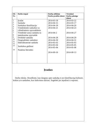 Sankaba. Paveikslėlis 2