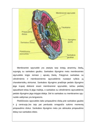 Sankaba. Paveikslėlis 8