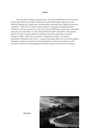 Ansel Adams - gamtosaugininkas su fotoaparatu rankose. Paveikslėlis 3