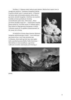Ansel Adams - gamtosaugininkas su fotoaparatu rankose. Paveikslėlis 6