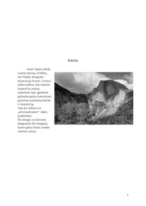 Ansel Adams - gamtosaugininkas su fotoaparatu rankose. Paveikslėlis 7