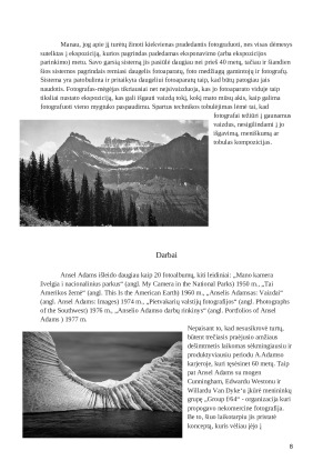 Ansel Adams - gamtosaugininkas su fotoaparatu rankose. Paveikslėlis 8