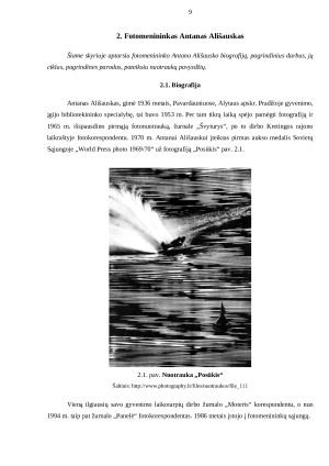 Fotografija ir Antano Ališausko kūryba. Paveikslėlis 9
