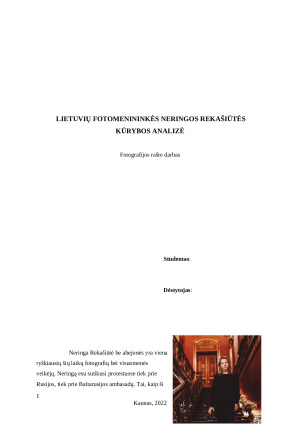 Lietuvių fotomeninkės Neringos Rekašiūtės kūrobos analizė