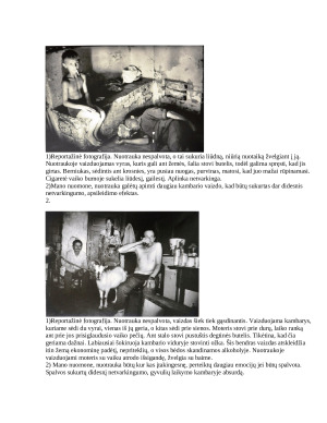 Lietuvių fotomenininko kūrybos analizė. Paveikslėlis 3