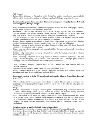Lietuvos fotografijos istorija. Konspektas. Paveikslėlis 6
