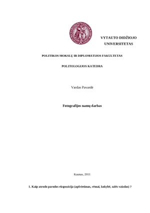 R. Rakausko parodos “Vilniaus ir Kauno šiokiadieniai” analizė