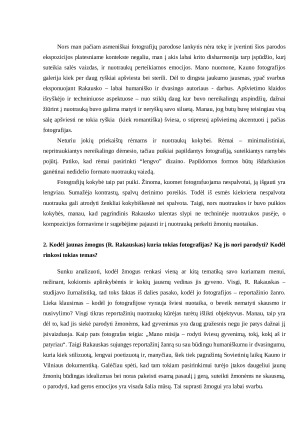 R. Rakausko parodos “Vilniaus ir Kauno šiokiadieniai” analizė. Paveikslėlis 2