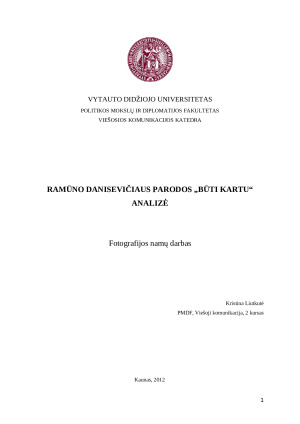 Ramūno Danisevičiaus parodos „Būti kartu“ analizė