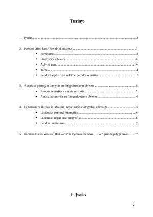 Ramūno Danisevičiaus parodos „Būti kartu“ analizė. Paveikslėlis 2