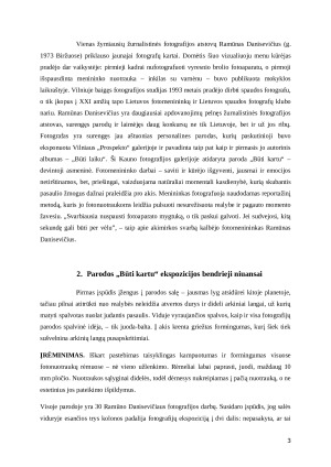 Ramūno Danisevičiaus parodos „Būti kartu“ analizė. Paveikslėlis 3