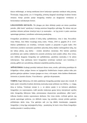 Ramūno Danisevičiaus parodos „Būti kartu“ analizė. Paveikslėlis 4