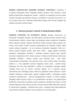 Ramūno Danisevičiaus parodos „Būti kartu“ analizė. Paveikslėlis 5