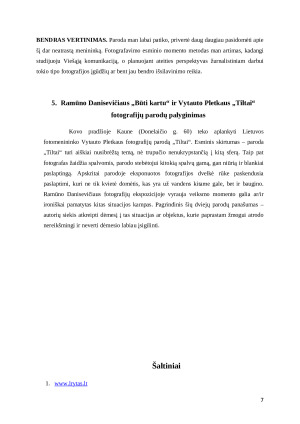 Ramūno Danisevičiaus parodos „Būti kartu“ analizė. Paveikslėlis 7