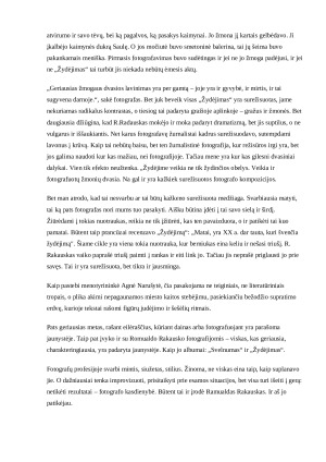 Romualdo Rakausko „Žydėjimas“ Recenzija. Paveikslėlis 2