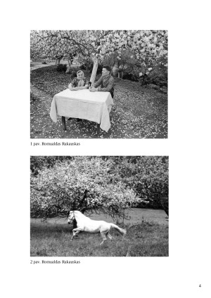 Romualdo Rakausko fotografijų ciklas „Žydėjimas”. Paveikslėlis 4