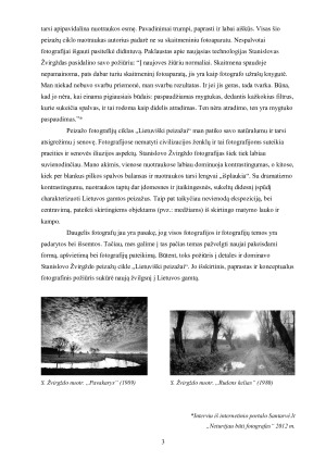 Stanislovo Žvirgždo „Lietuviški peizažai“ fotografijų ciklo analizė. Paveikslėlis 3