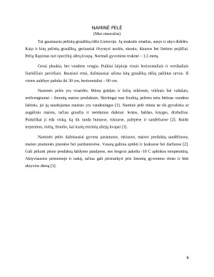 Deratizacija fermų aplinkoje. Paveikslėlis 6