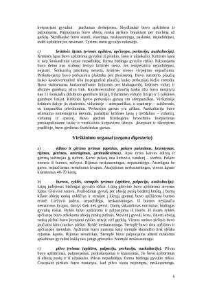 Gyvulio klinikinis tyrimas. Paveikslėlis 6