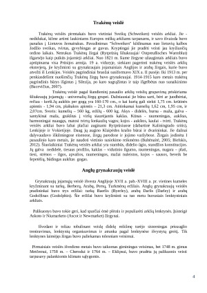 Lengvo tipo arklių veislių įvairovė ir reikšmė gyvulininkystėje. Paveikslėlis 4