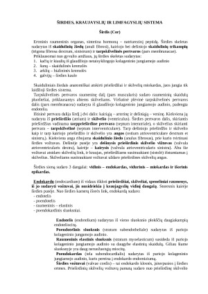 Histologija: širdies, kraujagyslių ir limfagyslių sistema. Paveikslėlis 1