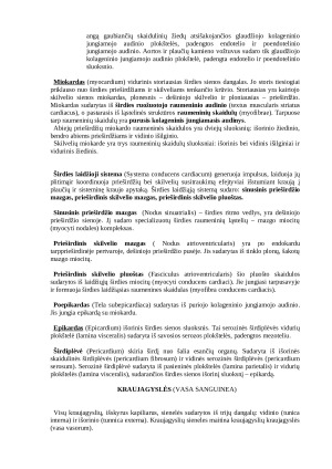 Histologija: širdies, kraujagyslių ir limfagyslių sistema. Paveikslėlis 2