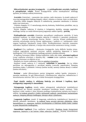 Histologija: širdies, kraujagyslių ir limfagyslių sistema. Paveikslėlis 4