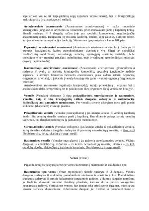 Histologija: širdies, kraujagyslių ir limfagyslių sistema. Paveikslėlis 5