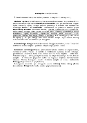 Histologija: širdies, kraujagyslių ir limfagyslių sistema. Paveikslėlis 7