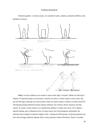 Šunų eksterjero vertinimo ypatumai Lietuvoje ir Pasaulyje. Paveikslėlis 10
