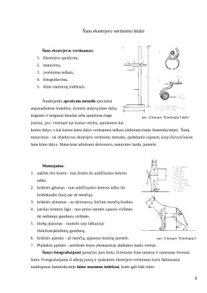 Šunų eksterjero vertinimo ypatumai Lietuvoje ir Pasaulyje. Paveikslėlis 4
