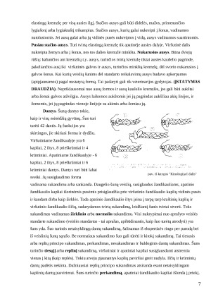 Šunų eksterjero vertinimo ypatumai Lietuvoje ir Pasaulyje. Paveikslėlis 7