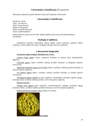 Šunų odos bakteriniai ir grybiniai susirgimai. Paveikslėlis 10